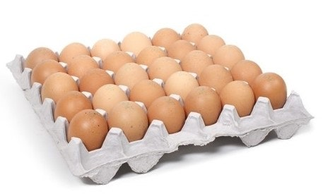 계란 한 판 다 먹기! 혼밥족 위한 계란 요리 5가지 레시피 (자취생 필수템 완벽 활용)